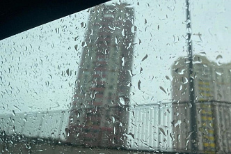Дождь перед Рождеством. Прогнозы синоптиков не радуют