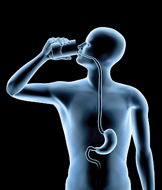 Регенерация запрограммирована в организме