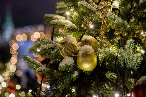 В донской столице начинается «Путешествие в Новый год»