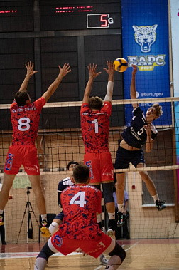 Донские волейболистки стали чемпионками мира