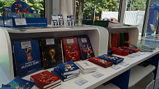 Мундиаль в губернском городе