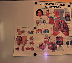 Донские школьники поучаствовали в викторине к Всемирному Дню гражданской обороны