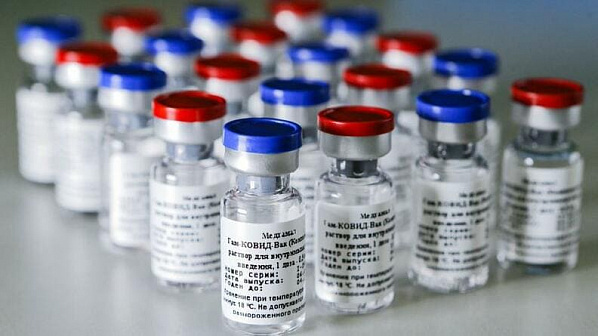 Хроники коронавируса: вторая российская вакцина и анонс самоизоляции для донских пенсионеров