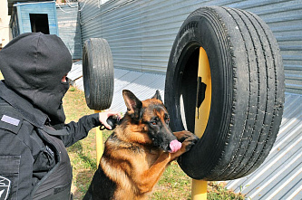 Донские ОМОНовцы отметили свой профессиональный праздник