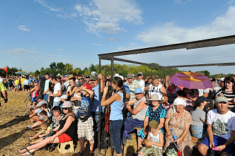 Освобождению Ростовской области посвящается