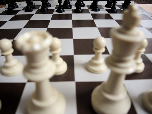 В Ростове проведут турнир по адаптивным шахматам