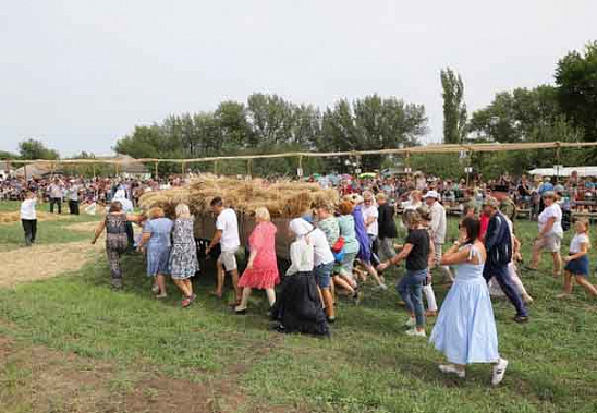   На малой родине Шолохова вновь устроят «Кружилинские толоки»