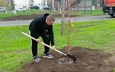 14 04 2025 Весенний день древонасаждения 2025 в Ростове