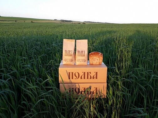 Белокалитвинская полба вошла в списки самых вкусных продуктов России
