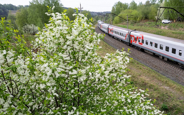 Источник фото:  mindortrans.donland.ru