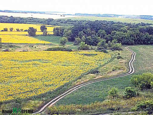 Красота на Дону