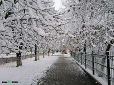 Зима – значит, снег!