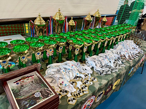   В Аксае провели турнир по рукопашному бою