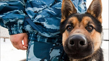 Взрывное устройство в школе №5 Батайска не обнаружили