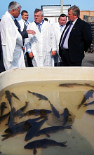 Не собираемся останавливаться_16708