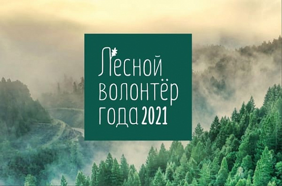 У донских жителей есть возможность стать «Лесным волонтером года 2021»