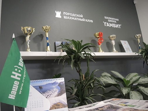 Ростовские шахматы получат международную оценку