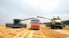 В Октябрьском (с.) районе уборку урожая ведут наперегонки  с дождем