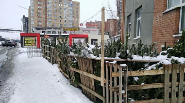 С боем курантов базар превратился в свалку