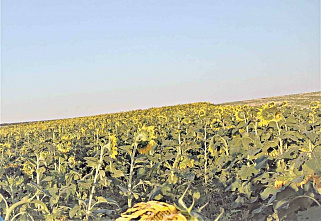 Победители «Зеленой планеты-2019»