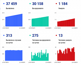 Коронавирус в Ростовской области: статистика на 22 ноября