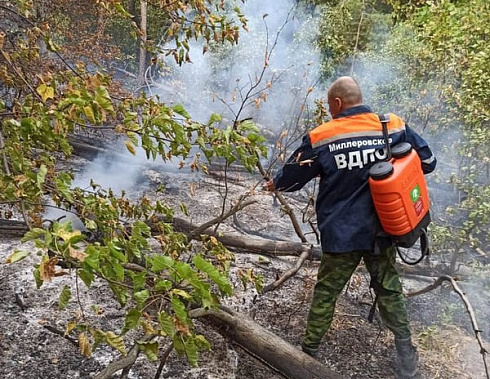 Донские добровольцы уже более полутысячи раз привлекались к тушению пожаров