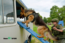 Каменские военные инженеры в этом году отмечают двойной юбилей