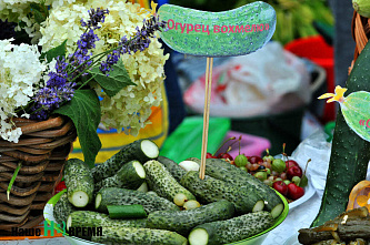 В станице Багаевской прошел юбилейный День огурца