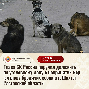 В Следкоме намерены разобраться в ситуации с безнадзорными собаками в городе Шахты