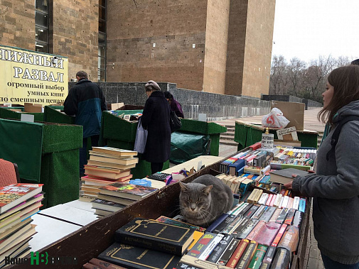 Народ толпится у книжного развала с утра до вечера в любую погоду. Кстати, кот на книжках – не просто кот. Он давно стал медийной персоной — его фотографии можно часто встретить в Сети.