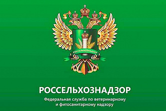 В Родионово-Несветайском районе Россельхознадзор обнаружил амброзию в крупной партии льняных семян