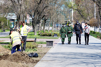 В Ростове-на-Дону занялись инвентаризацией газонных покрытий