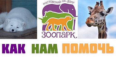 Ростовский зоопарк попросил о помощи