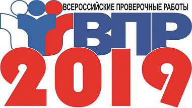 Школы в Ростовской области завысили результаты итоговых контрольных