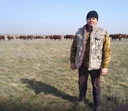 В Зимовниковском районе уничтожают пастбища