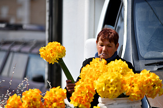 05 04 2026 Дончане отметили Вербное воскресенье