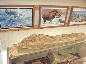 О том, как и когда разные народы обретали свой дом на Дону