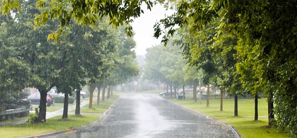 В Ростове снова дождливая неделя и потепление