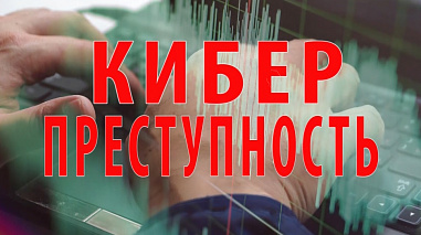 В текущем году на Дону совершено уже почти 7000 преступлений в сфере высоких технологий