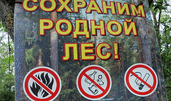 В донском регионе сохраняется чрезвычайная пожароопасность
