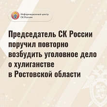 Александр Бастрыкин потребовал повторного возбуждения донскими следователями уголовного дела по хулиганству в отношении участника СВО и его жены