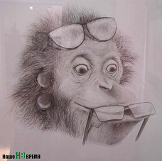 Звери на грани