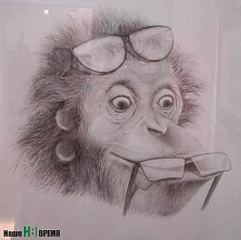 Звери на грани