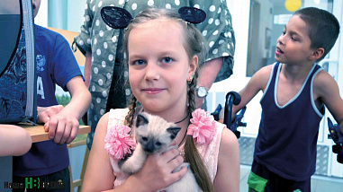 Как кошки-крошки  с друзьями встретились