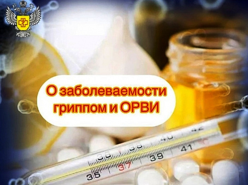 На Дону наблюдается спад заболеваемости гриппом и ОРВИ