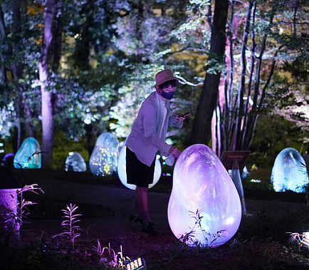 В лесу под Токио посетители могут прикасаться к арт-инсталляции только в одноразовых перчатках