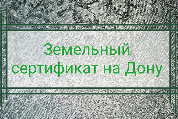 В Ростовской области на 2020 год власти заложили средства на 291 земельный сертификат