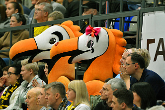 Гандболистки «Ростов-Дона» на своей площадке обыграли волгоградскую «Динамо-Синару»