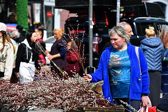 05 04 2026 Дончане отметили Вербное воскресенье