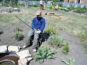 Конь, медведь и гусь от Галины